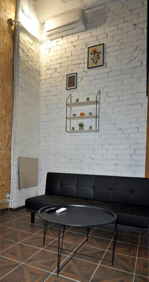 Apartment дворівневі апартаменти-лофт у старому місті Kamjanez-Podilskyj