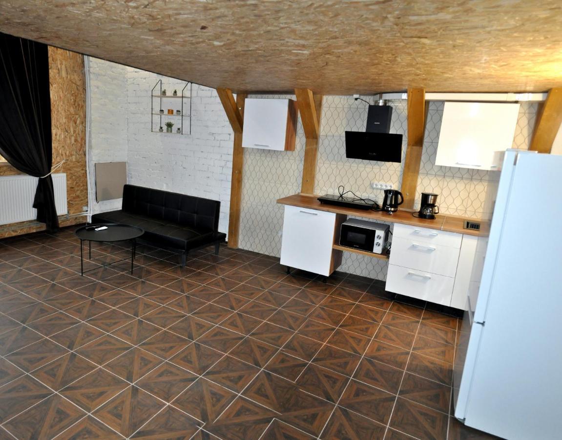 Apartment дворівневі апартаменти-лофт у старому місті Kamjanez-Podilskyj